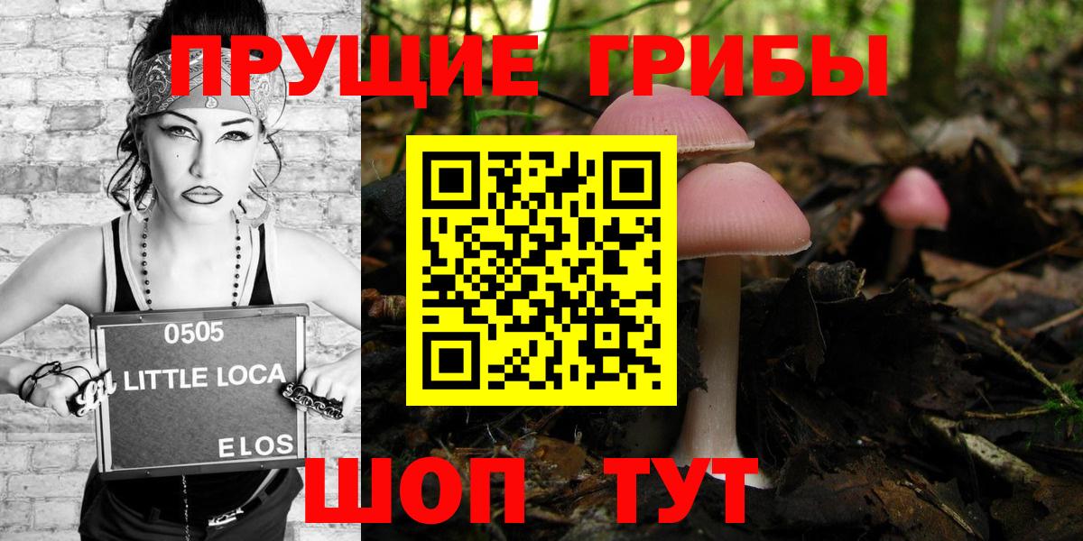 Псилоцибиновые грибы Magic Shrooms  Вход с VPN  Осинники 