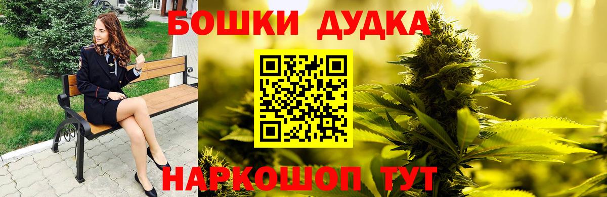 Бошки Шишки план Осинники